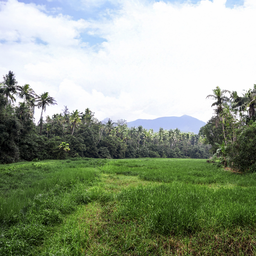 Tales of Mala - Gallery image 4